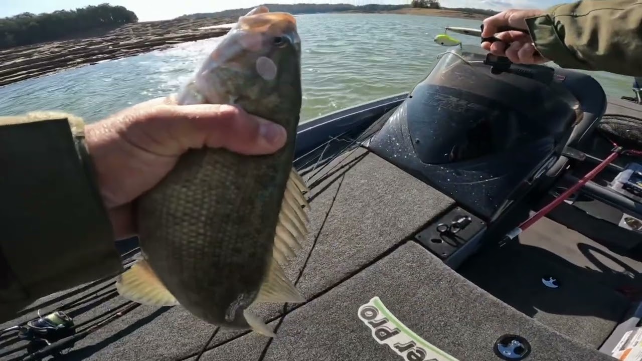 Тренировочный день, Bill Dance Signature Lakes Giant Bass Open. Ловля окуня на озере Дуглас в чес...