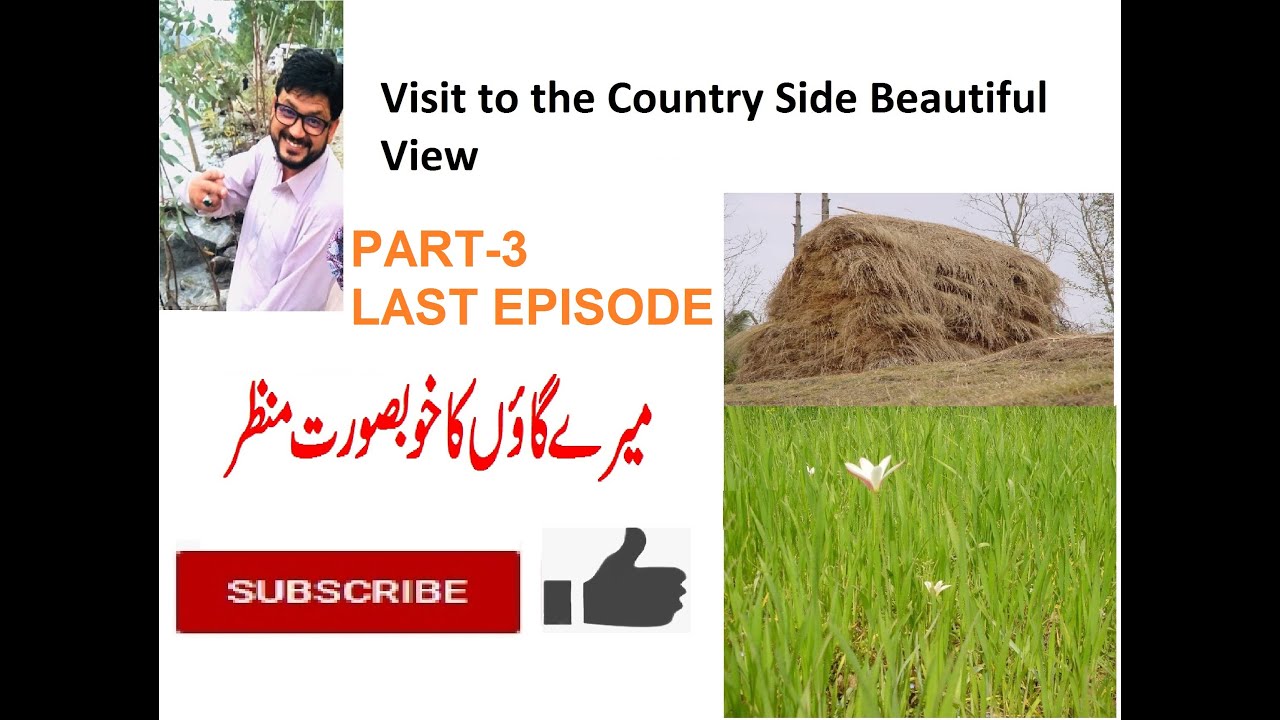 Visit to the Country side (Part 3) l Last Episode l Mera Ghar l My Village l syedwaseeminfo