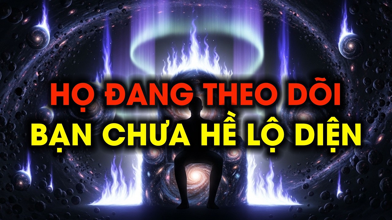 NGƯỜI ĐƯỢC CHỌN : KHI HỌ PHÁT HIỆN RA BẠN KHÔNG HỀ TẦM THƯỜNG #nguoiduocchon