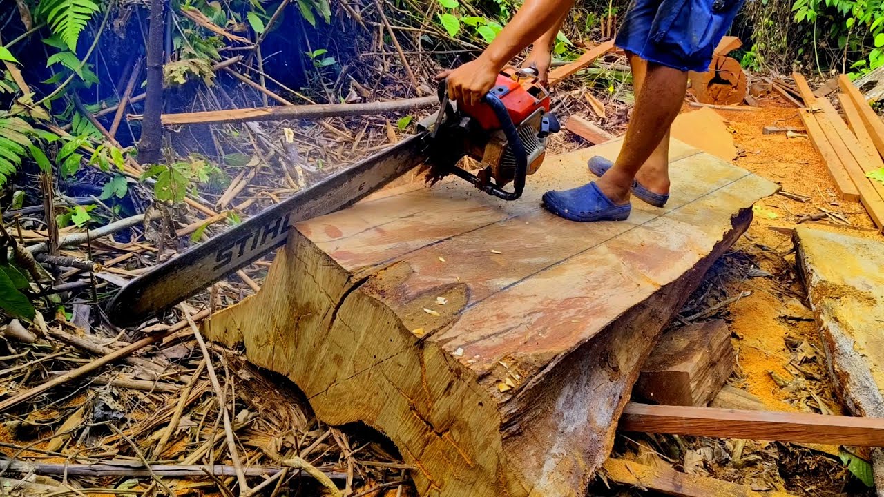 Dari sisa kayu ulin yang terlupakan puluhan tahun silam. Lelah yang berhujung indah.!!