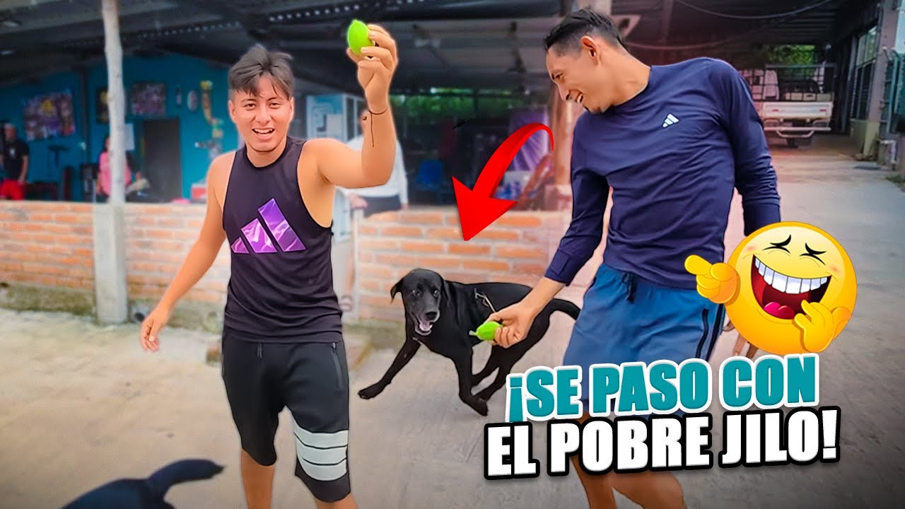 Divertidísimo! Jilo por poco y sale volando por culpa de Yogui 🤣