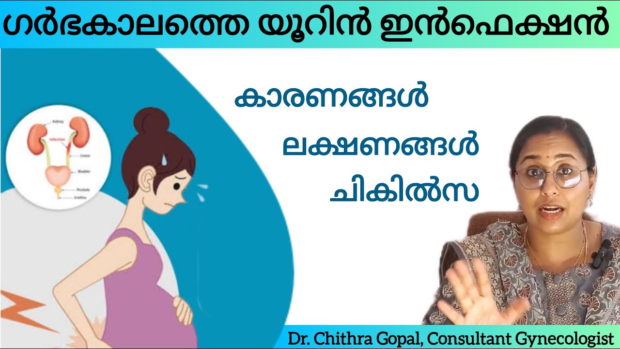 Urinary infection during pregnancy Malayalam symptoms and treatment #drchithra #uti