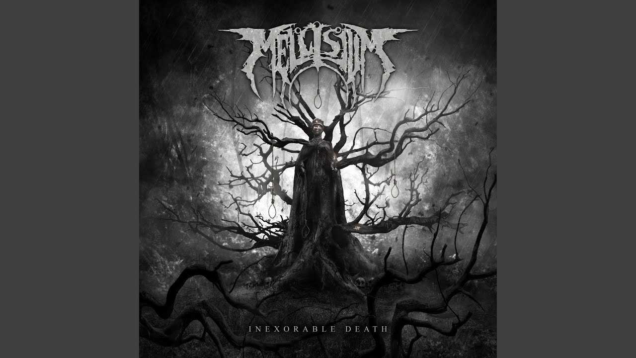 Desolation feat.Kyle Anderson (feat. Kyle Anderson)