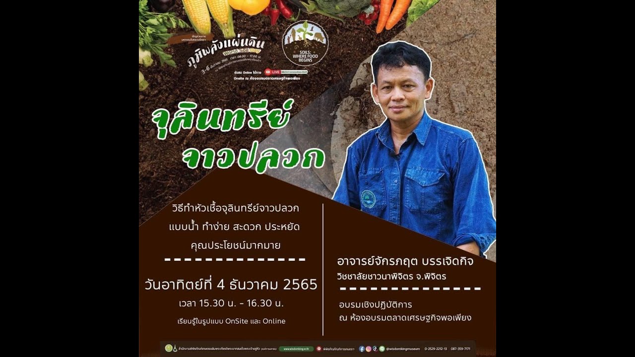 Live วิชาของแผ่นดินออนไลน์ | จุลินทรีย์จาวปลวก