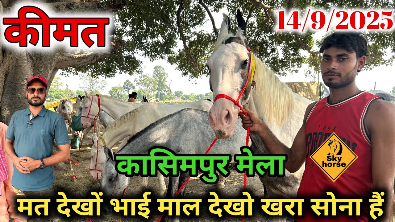 घोड़ा व्यापारी ने कहा क़ीमत पर मत जाओ माल देखों खरा सोना है | #kasimpurghoda2025
