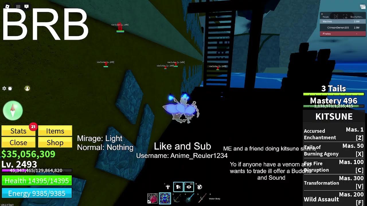 Playing BloxFruits