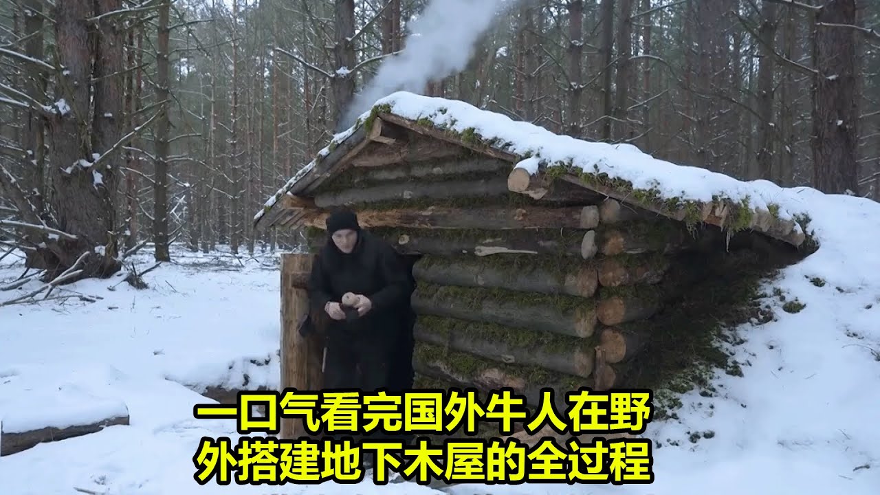 一口气看完国外牛人在野外搭建地下木屋的全过程 | 在野外生存