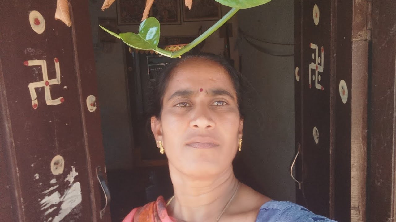  పల్లవి కి చుక్కలు చూపించిన రాజేంద్ర,పల్లవి నిజస్వరూపం తెలుసుకున్న కమల్ 