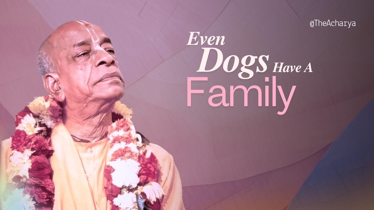 Immediate vs. Ultimate Good | BG 1.31 | London, England | Srila Prabhupada