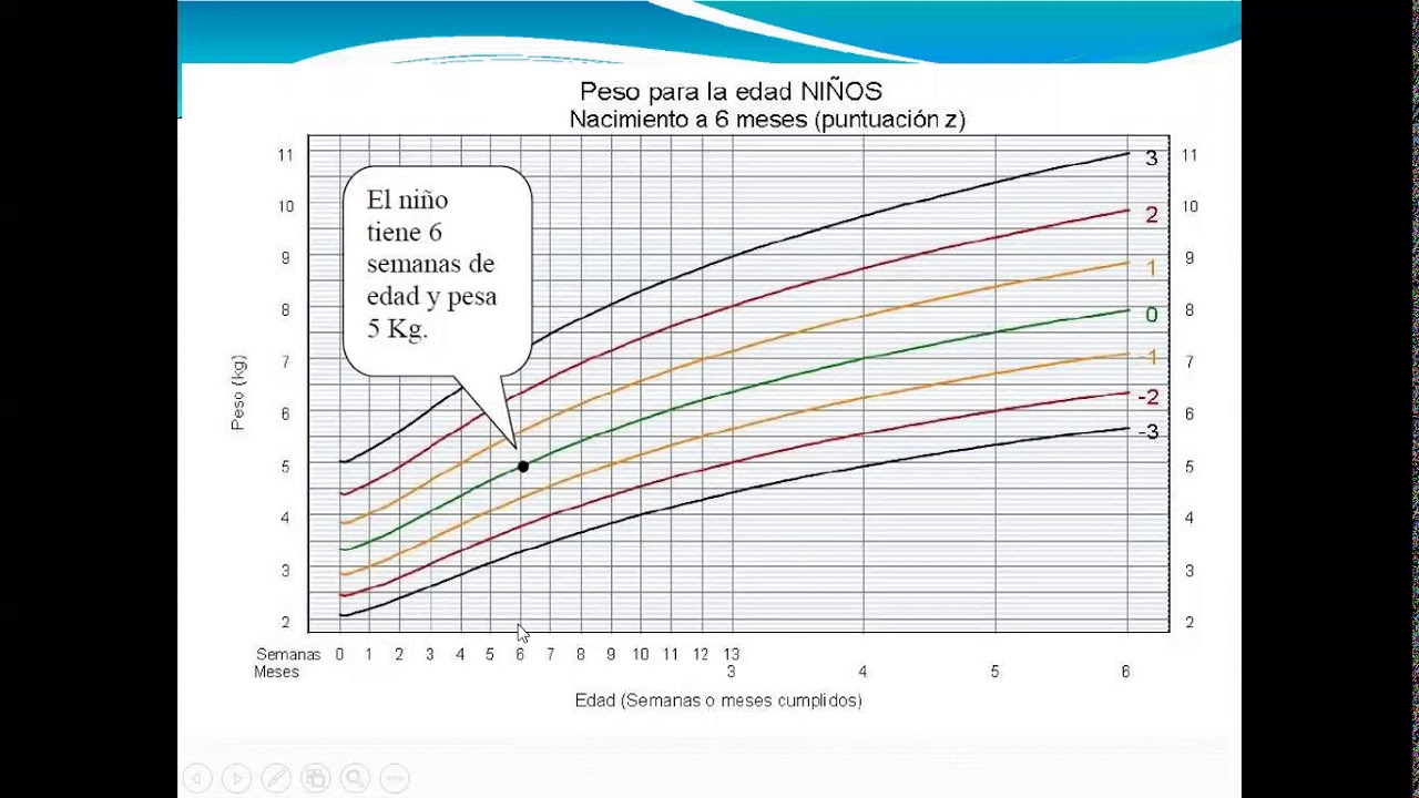 Módulo 4 Clase # 1 Evaluación del crecimiento