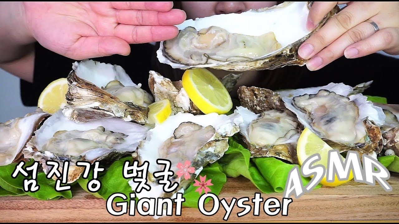 대박 초대형 섬진강 벚굴 먹방 ASMR ,Giant Oyster ,Mukbang,Big oyster,牡蠣,eating show,Устрицы,리얼사운드