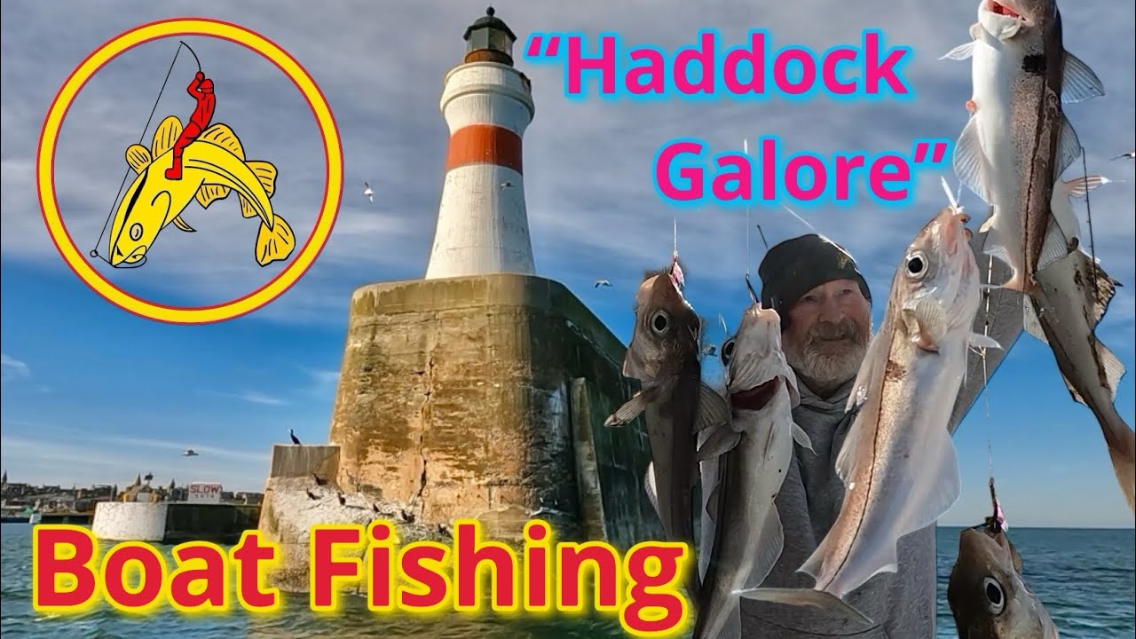 Морская рыбалка: Рыбалка с лодки: Изобилие пикши: РЫБНЫЕ ВЕЩИ 🎣 Абердиншир 🎣🐟🐟🐟