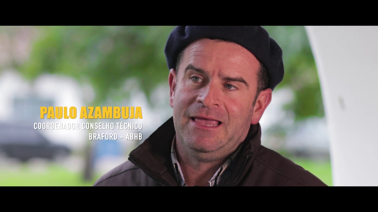 Prova de Avaliação a Campo das raças Hereford e Braford 2018/2019