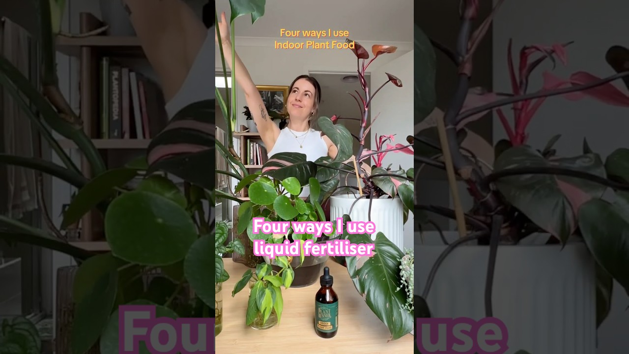 The BEST Fertiliser for your Indoor HousePlants! Liquid Plant Food #HousePlants