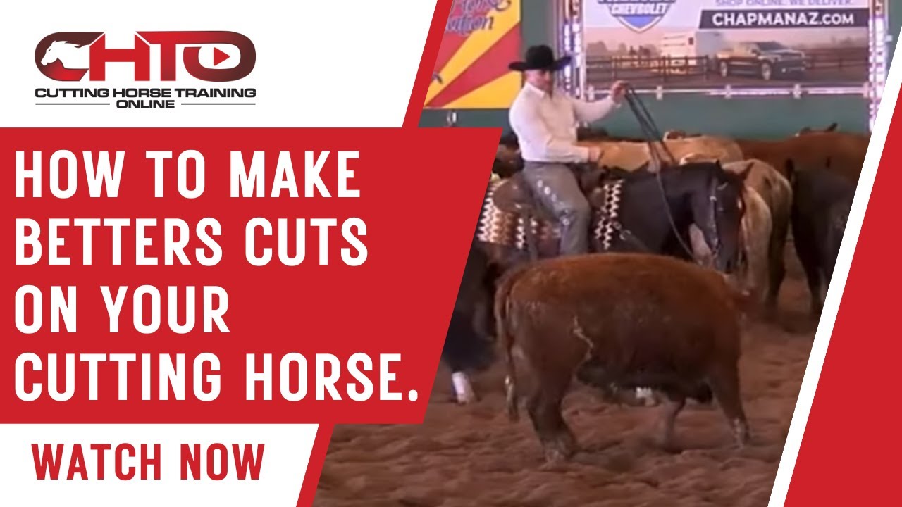 How To Make Betters Cuts On Your Cutting Horse.