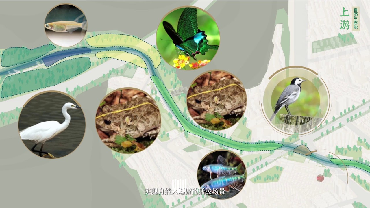 【LightsCG光映】Xi Xiang He competition landscape project(Masterplan,Landscape)