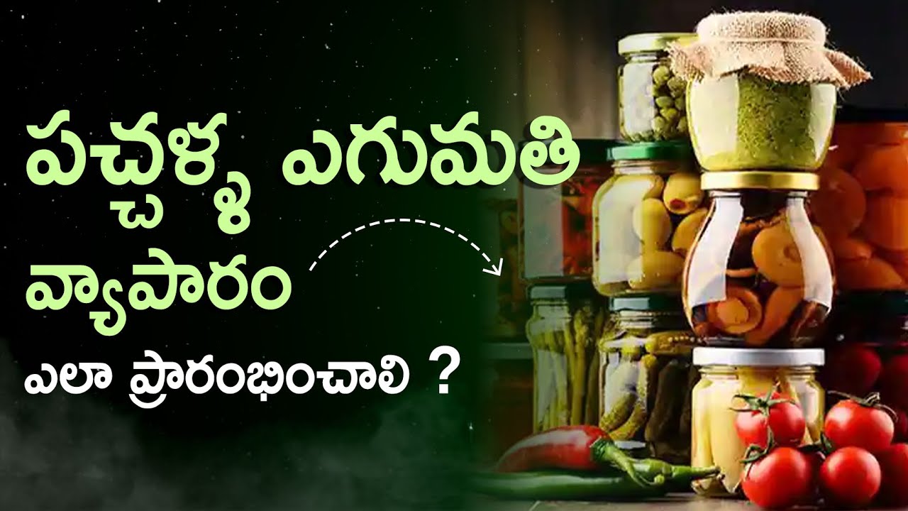 How To Start Pickle Export Business | Pickle Export Business Details In Telugu | Ambika