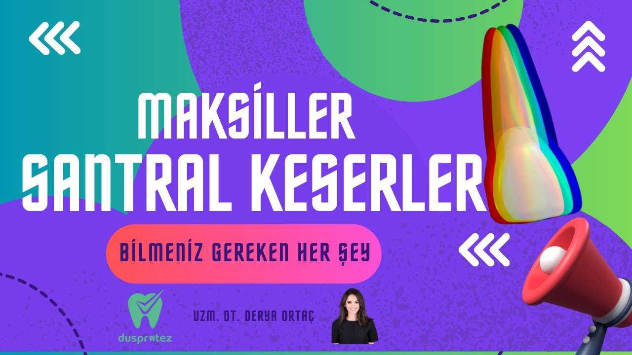 Maksiller Santral Keserler | Diş Hekimliği &Ouml;ğrencileri İ&ccedil;in Eksiksiz Diş Anatomisi Rehberi