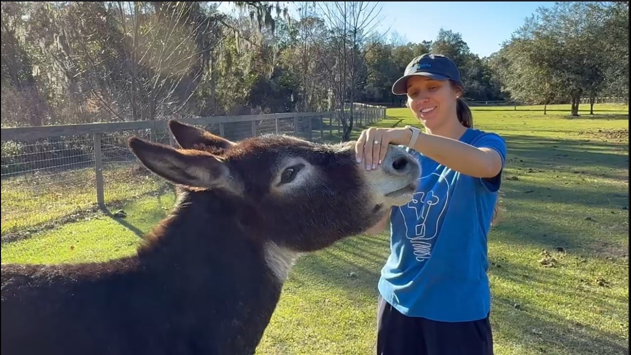 Train Horn Farm Episode 2 | Animal Introductions, Hay Delivery & More Farm Life Stuff