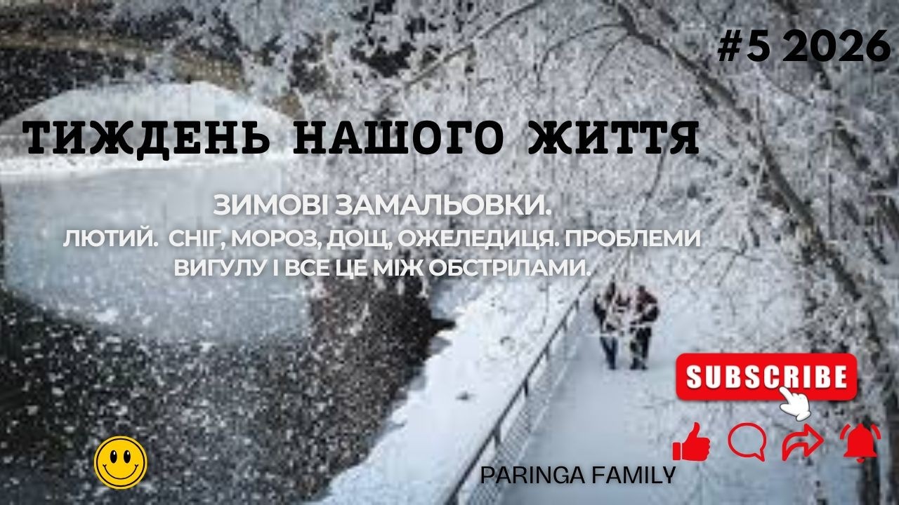 Зима. Якась КАТАКЛІЗЬМА!!!! сніг, мороз, дощ, ожеледиця. проблеми вигулу і все це між обстрілами.