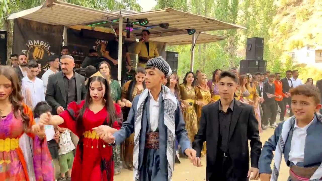 Koma Sümbül Avesta Şırnak Dağ dibi köyü HERDİŞ düğünü [ 2024 ] © HD ]🎤