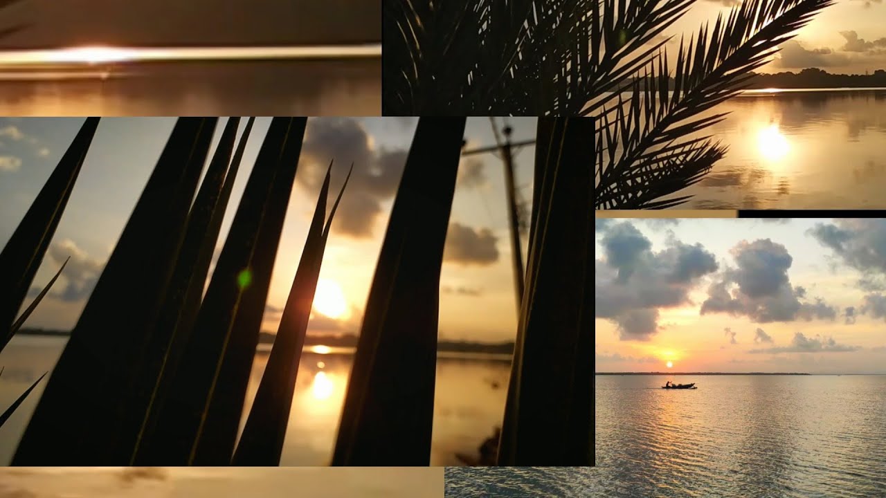 I spent my evening time at River side | river side vlog | sunset | cinematic | relaxing evening