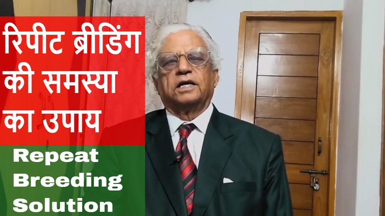 Repeat Breeding in Dairy Cow | रिपीट ब्रीडिंग की समस्या का उपाय | Treatment | Solution |