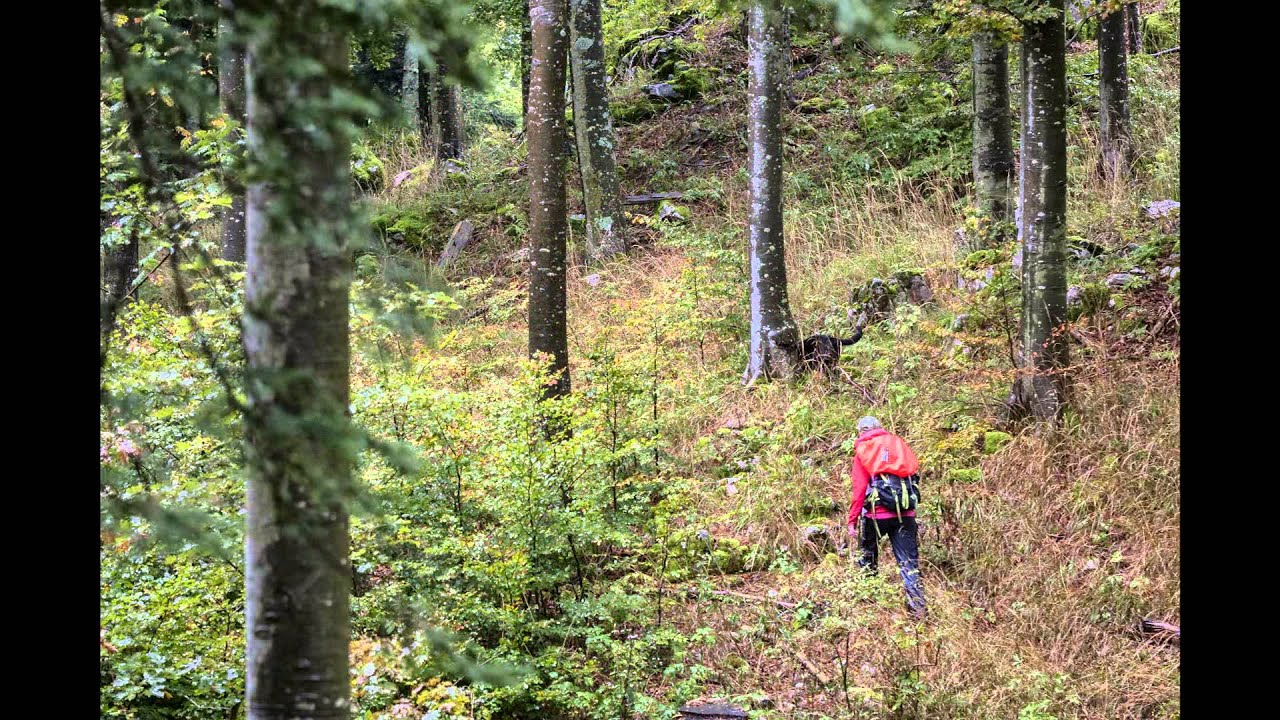 20 IRO world championship for rescue dogs - KVRP Kranj