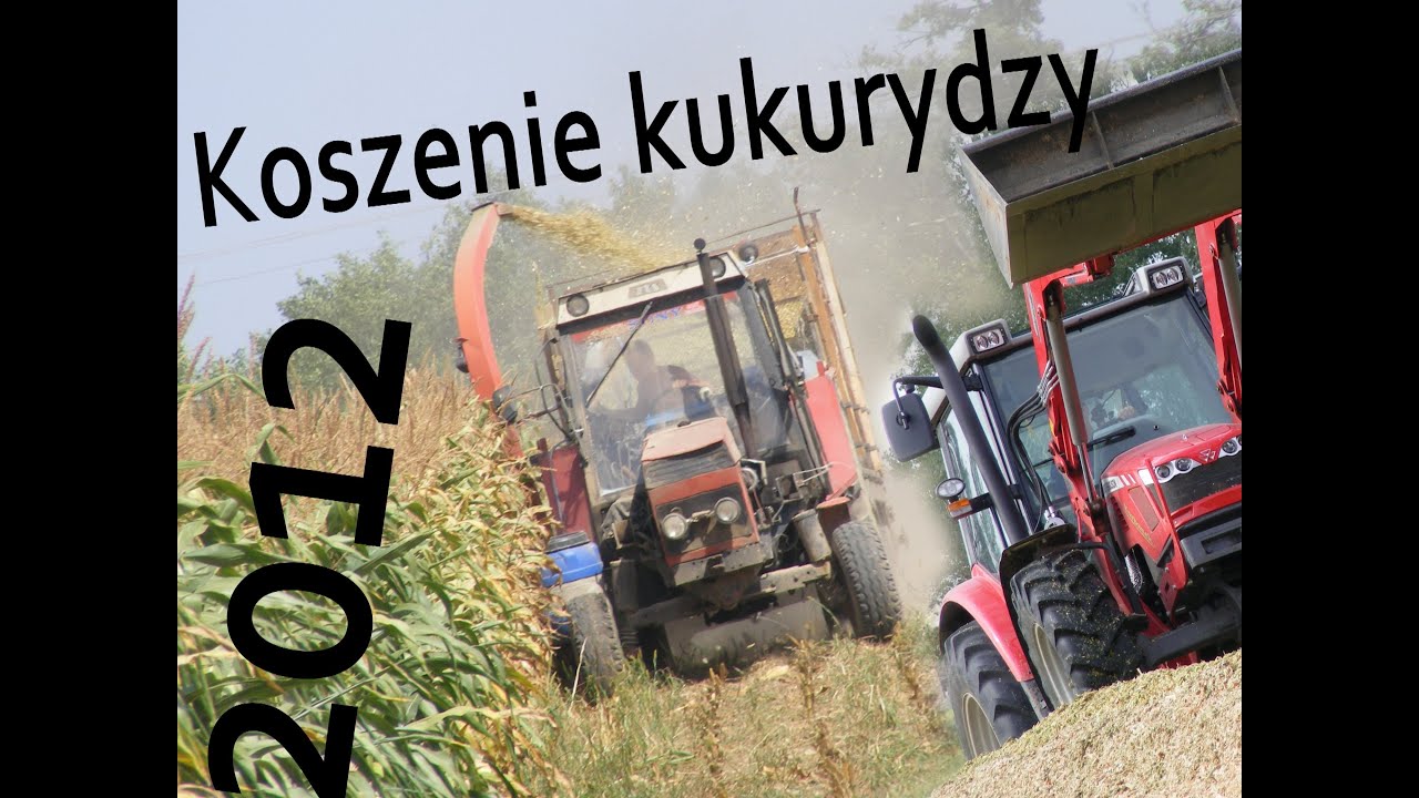 Koszenie kukurydzy 2012