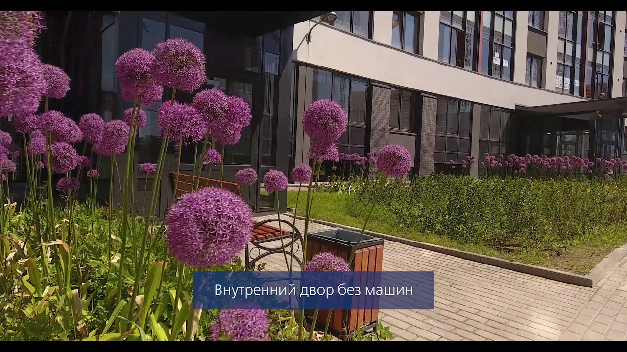 Аэросъемка в СПб Life Fly- Ultracity  Северный город