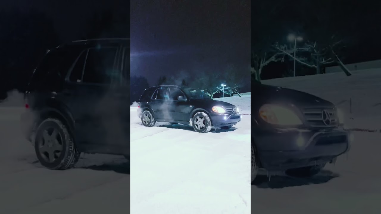 ML55 Wishes for Snow...