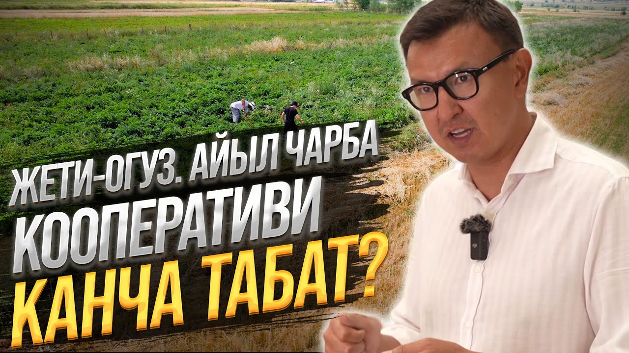 ДАРЫ ЧӨП өстүрүп ДЫЙКАНДАР 3,5 ГА Жерден КАНЧА ТАБЫШАТ? / Жети-Өгүз, Ысык-Көл Облусу