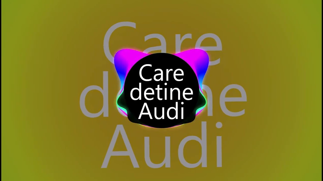 Cei Care Detin Audi