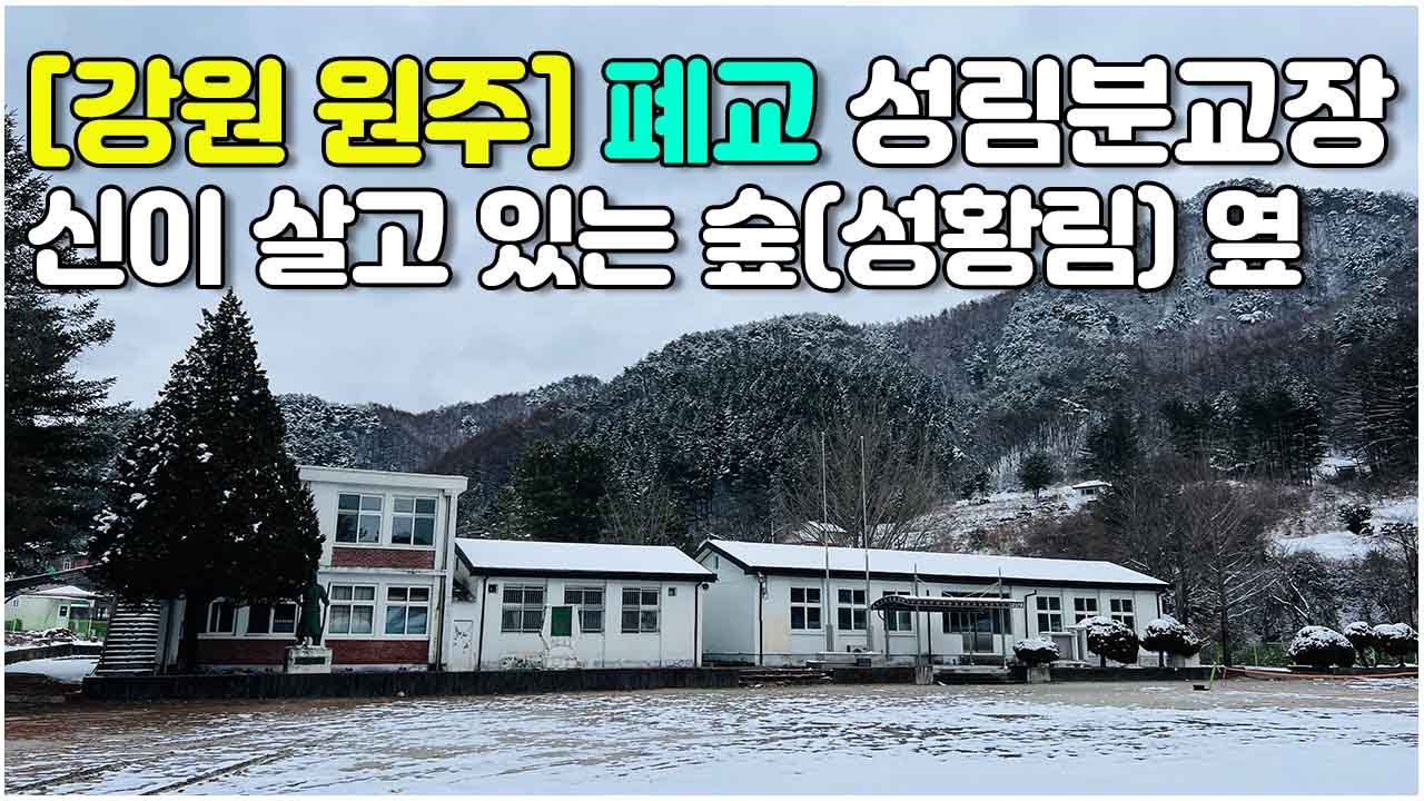 [강원 원주] 신이 살고 있는 숲(성황림) 옆 #강원 #원주 #치악산 #성황림 #신림초 #성림분교