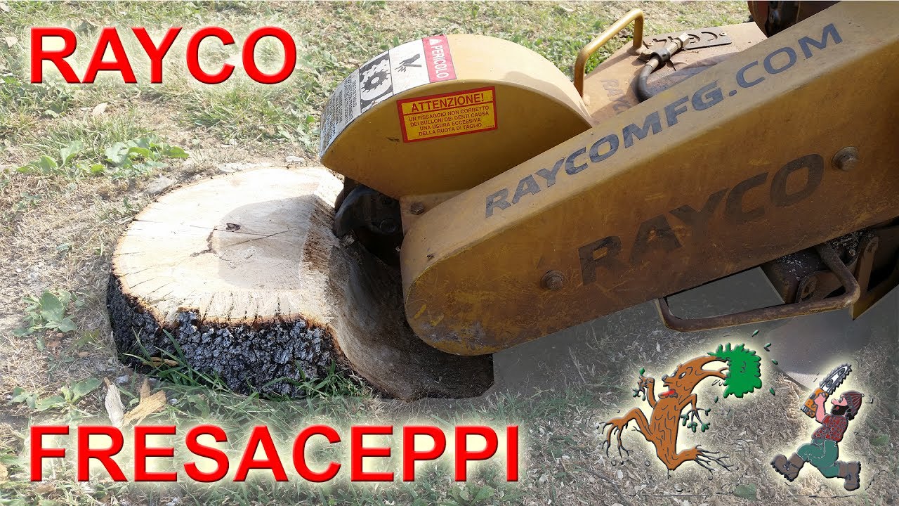 stump grinder Rayco RG13