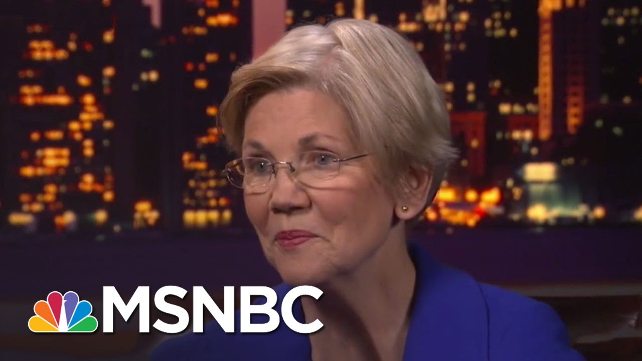 Elizabeth Warren: 'We Stand Up And We Fight Back' | Rachel Maddow | MSNBC