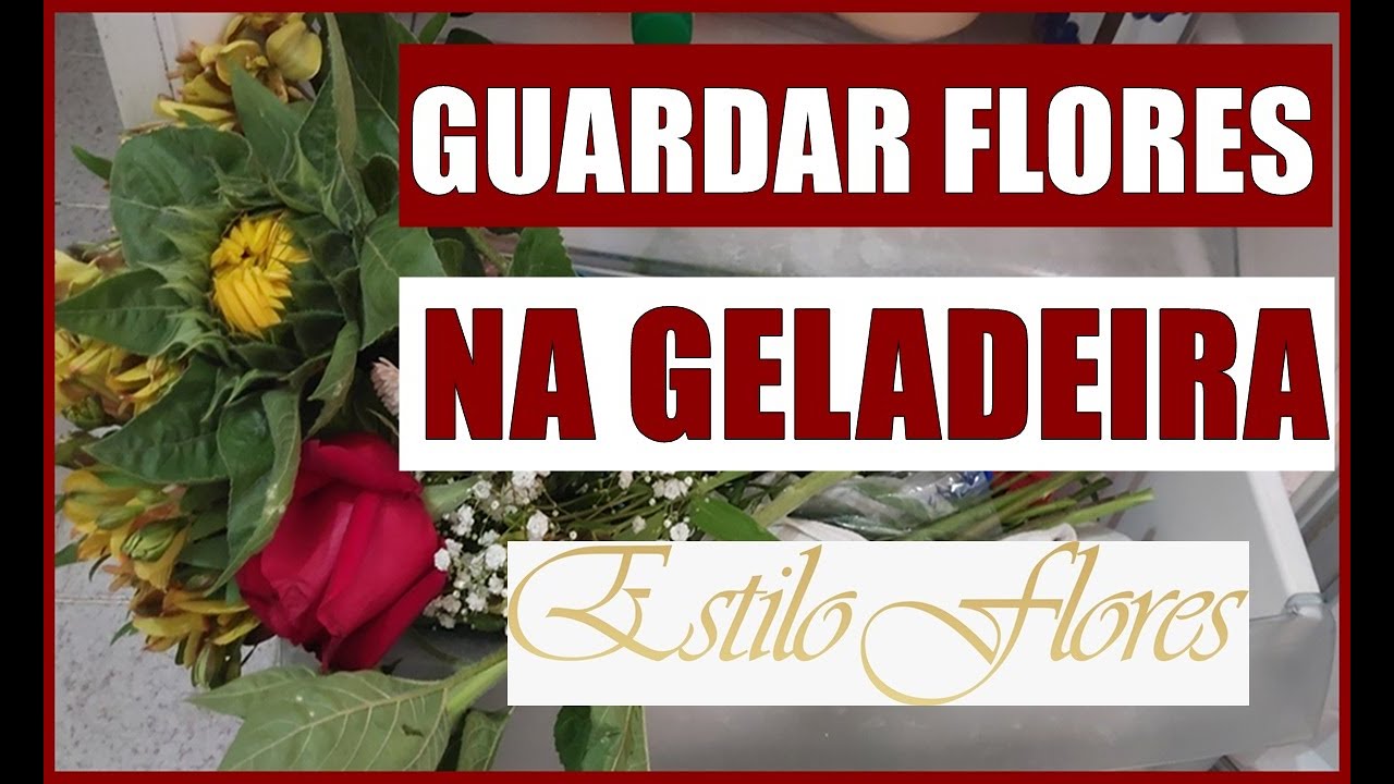 COMO GUARDAR FLORES NA GELADEIRA #flores #floricultura