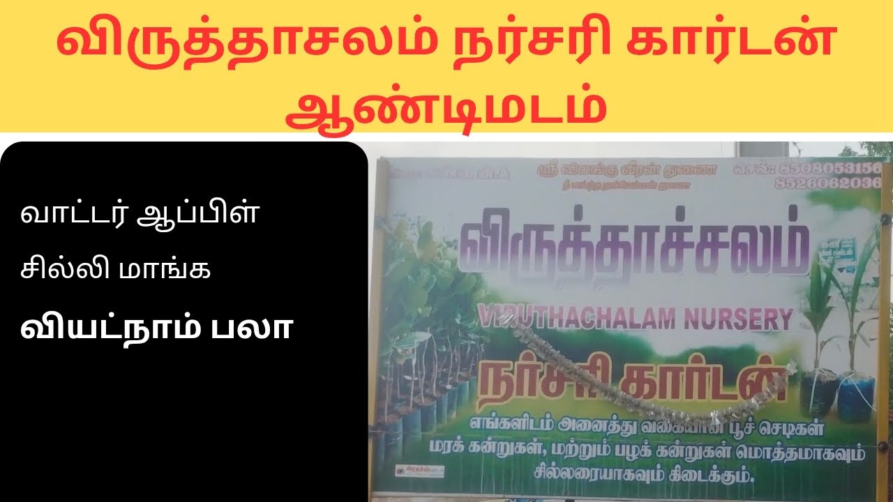 விருத்தாசலம் நர்சரி கார்டன் ஆண்டிமடம் , அனைத்து மரக்கன்றுகளும் இங்கு கிடைக்கும்