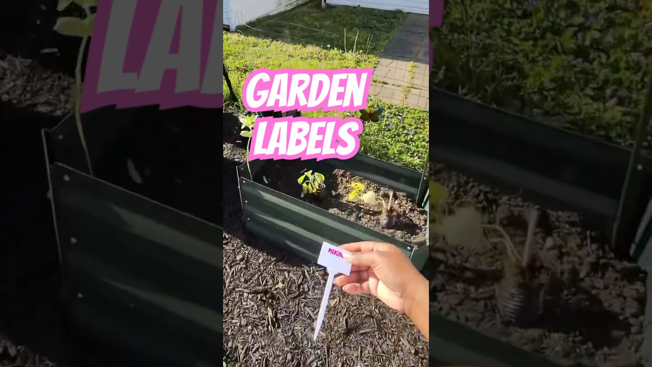 Garden Labels in Action: Keeping Track of What I Grow