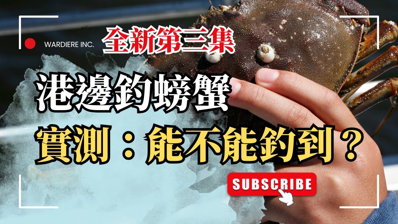 野柳漁港釣螃蟹｜秋冬實測：能不能釣到？｜ BOBO出任務 EP3