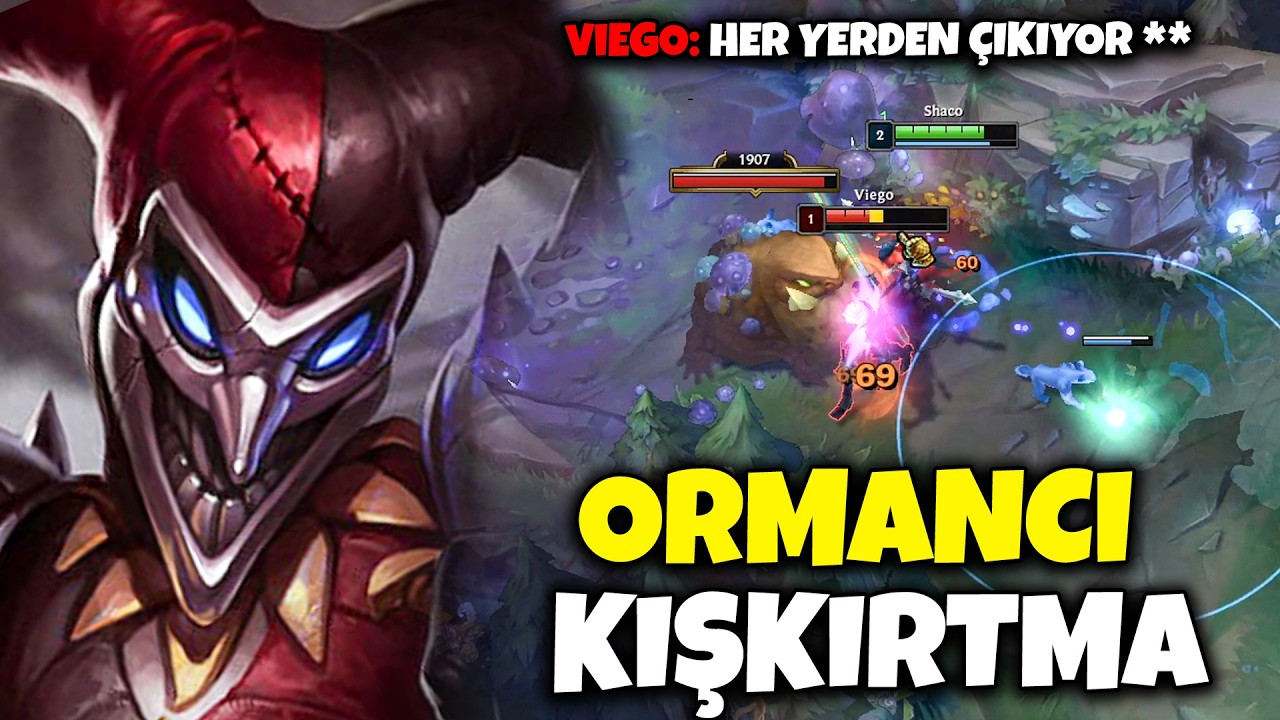Bizimkisi Bir Ormancı Kışkırtma Hikayesi 🤡