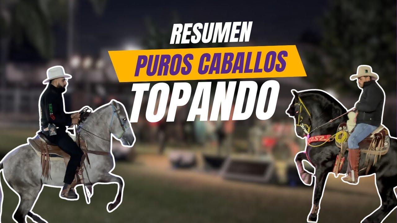 Solo caballos bailando, resumen de la Posarra 2025