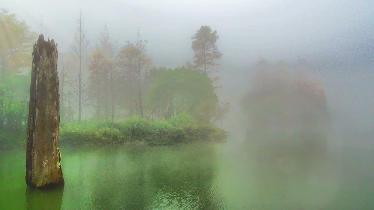 放鬆身心 輕音樂 RELAX MUSIC