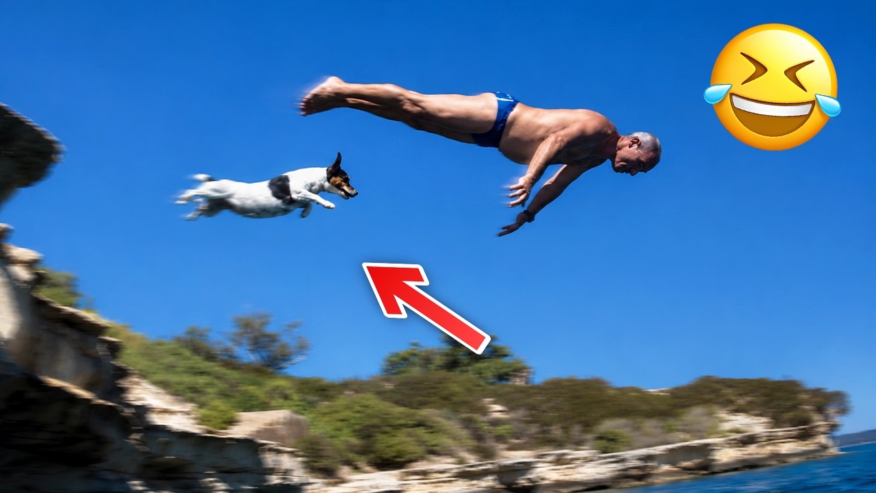 Funniest Animal Videos 2026 😂 When Animals Do Whatever They Want