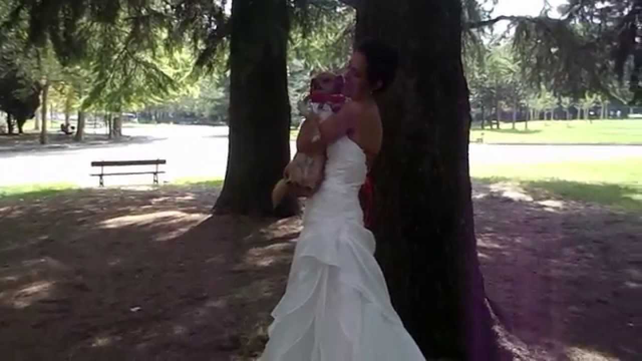 Cani ai matrimoni! Il cane porta le fedi alle nozze! Wedding Dog Sitter