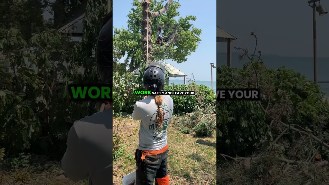 Storm Damage Tree Cleanup in Britton Michigan | Emergency Response by Dungrove