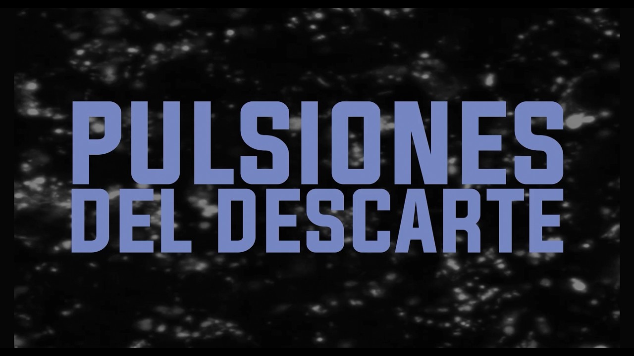 Pulsiones del descarte -  Recorrido por la muestra