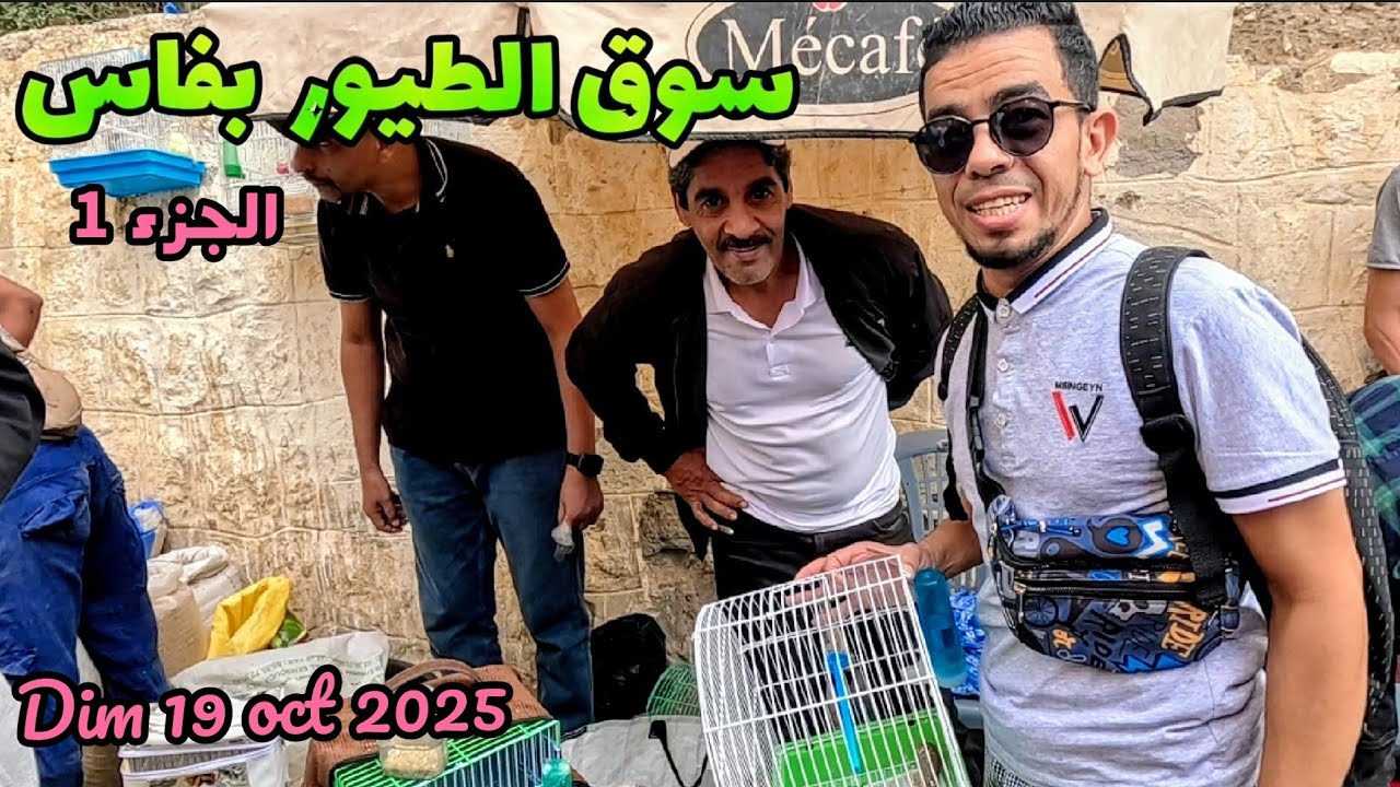 سوق الطيور بمدينة فاس باب الگيسة, الجزء 1 marché bab el guissa fes dim 19 oct 