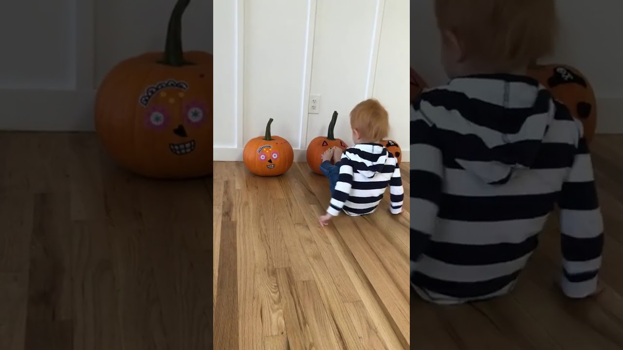(10/29/17) Living Rosa's IG Story