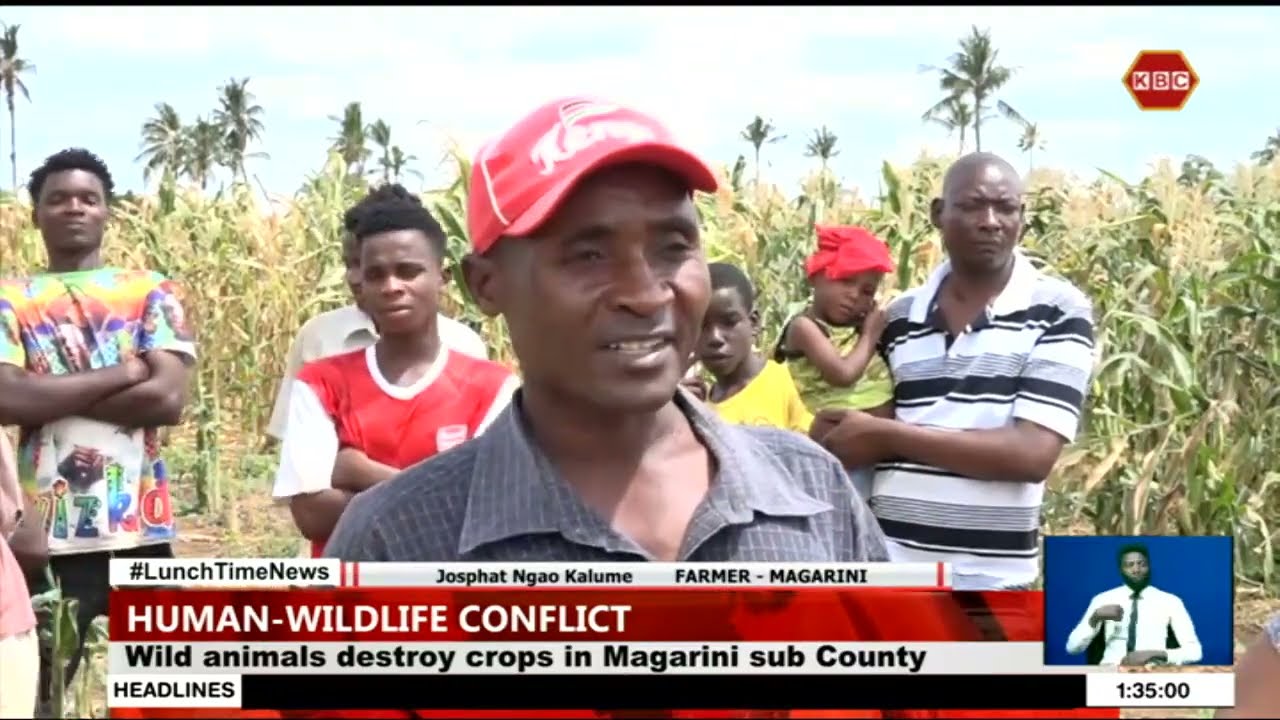 Human-Wildlife Conflict I 100 Farmers from Chakama demand compensation